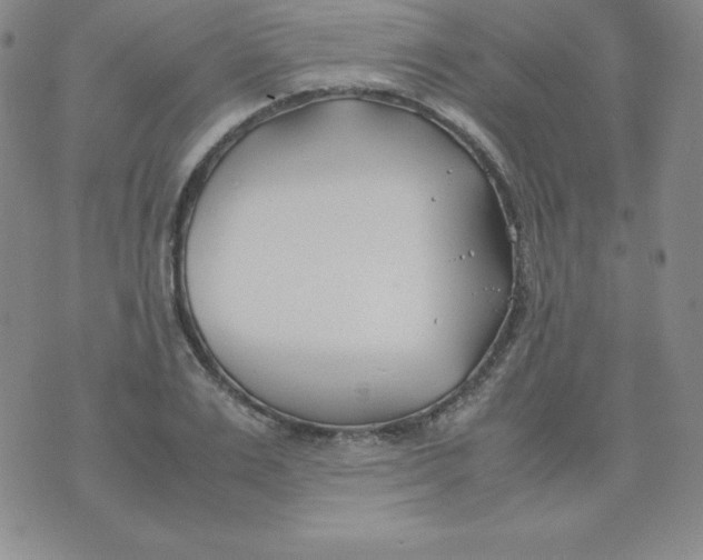 X0000074310983200609152002