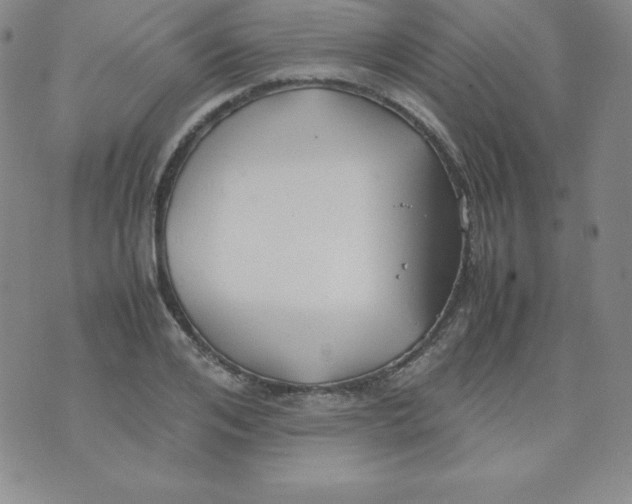 X0000074310984200609152002