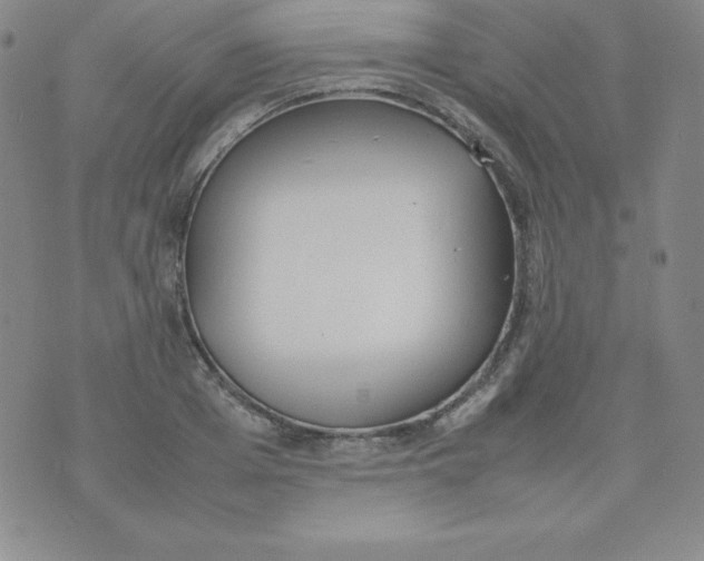 X0000074310985200609152002