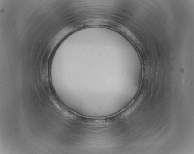 X0000074310986200609152002