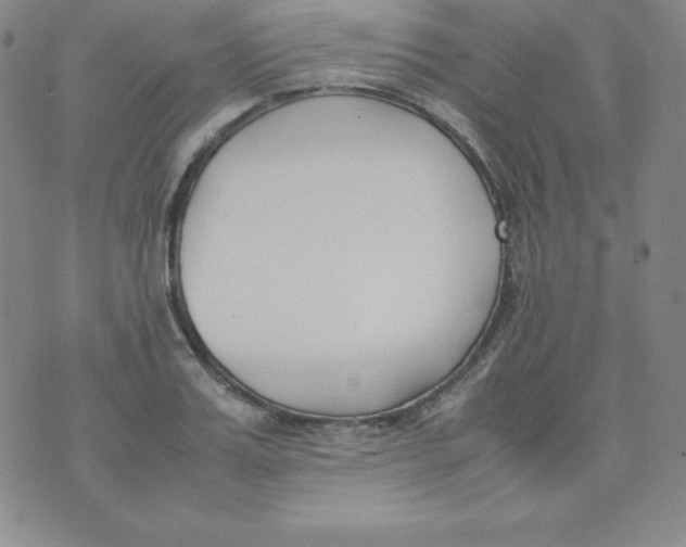 X0000074310987200609152002