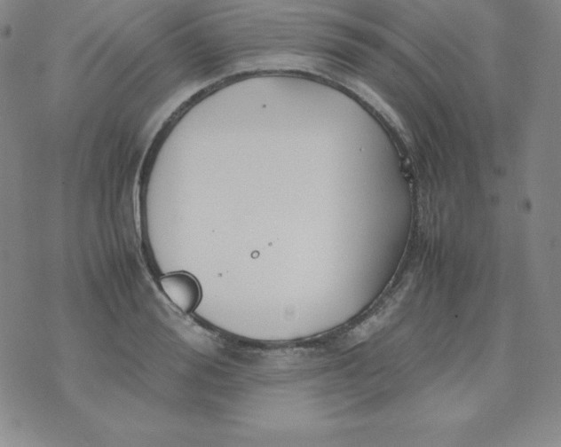 X0000074310988200609152002