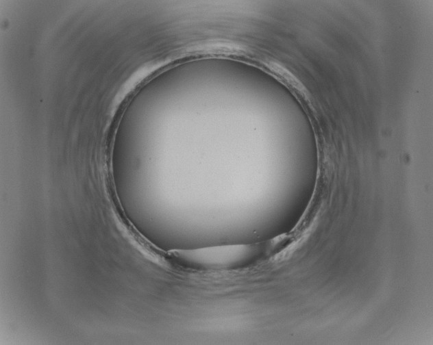 X0000074310989200609152002