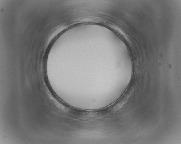 X0000074310991200609152002