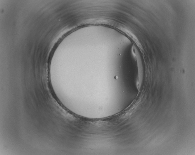 X0000074310992200609152002