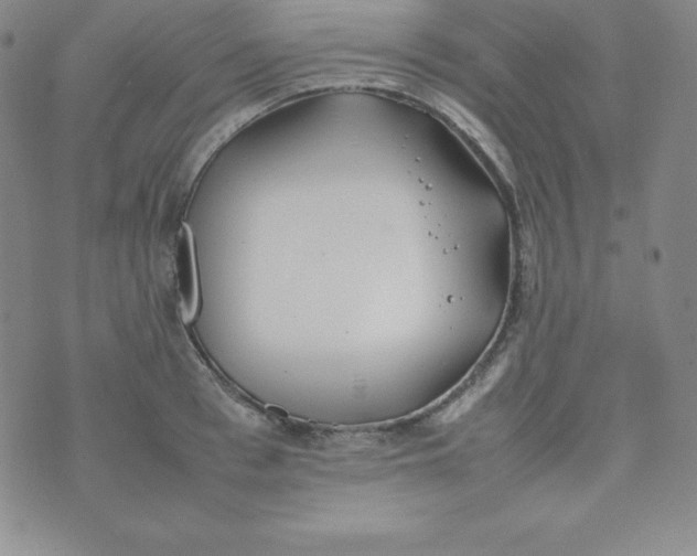 X0000074310993200609152002