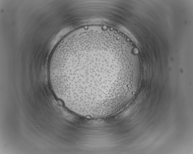 X0000074310994200609152002