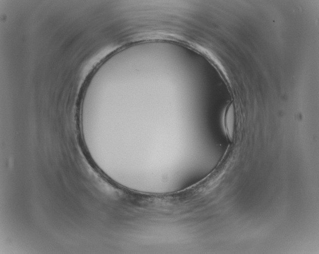 X0000074310995200609152002