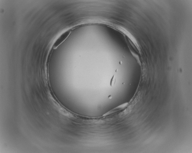 X0000074310996200609152002