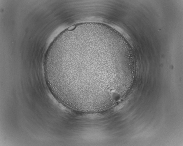 X0000074310998200609152002