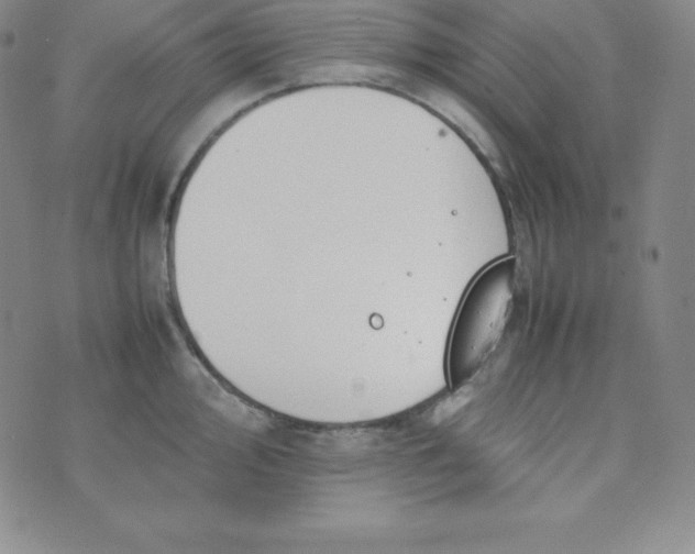 X0000074311000200609152002