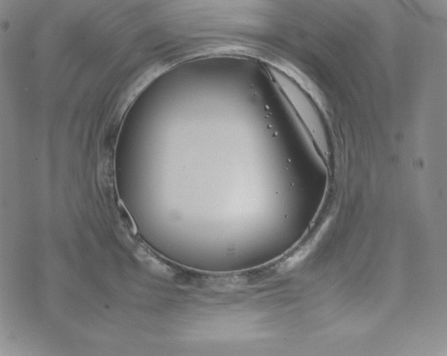 X0000074311001200609152002