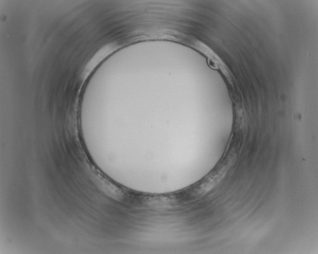 X0000074311002200609152002