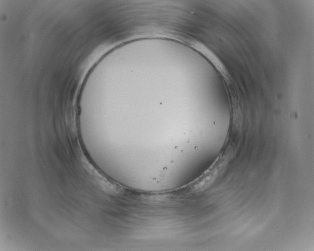 X0000074311004200609152002