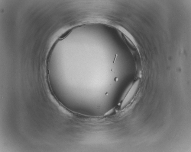 X0000074311005200609152002