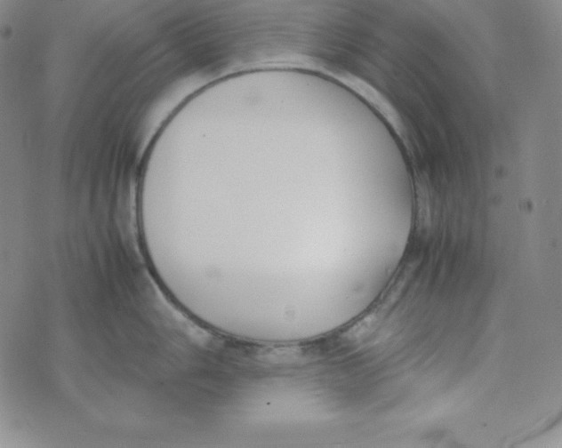 X0000074311006200609152002