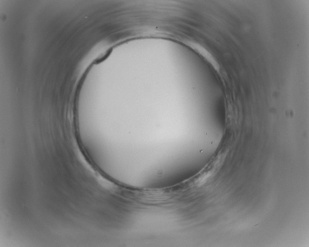 X0000074311007200609152002