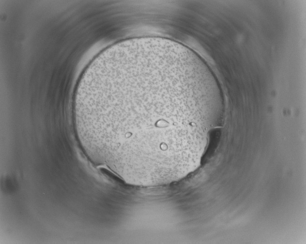 X0000074311008200609152002