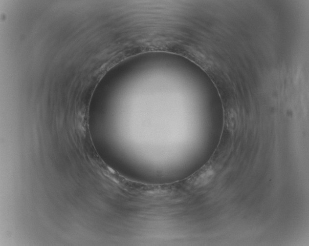 X0000074311010200609152001