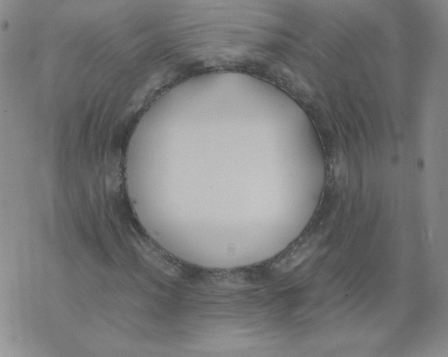 X0000074311012200609152001