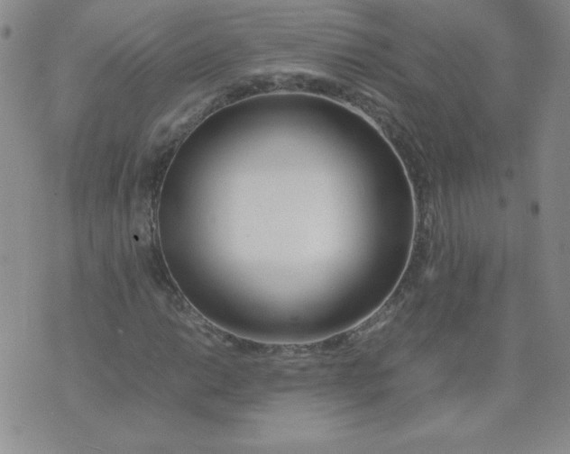 X0000074311014200609152001