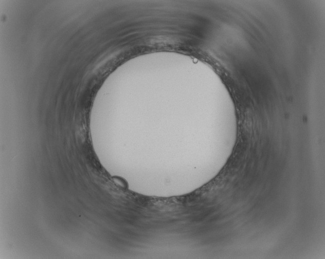 X0000074311015200609152001