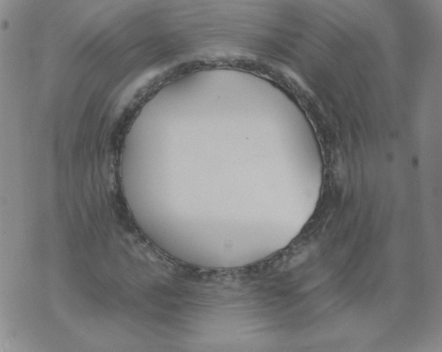 X0000074311016200609152001