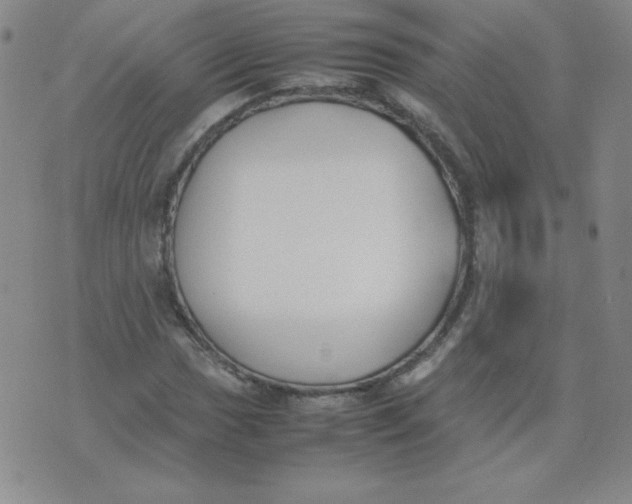 X0000074311017200609152001