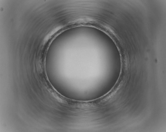 X0000074311018200609152001