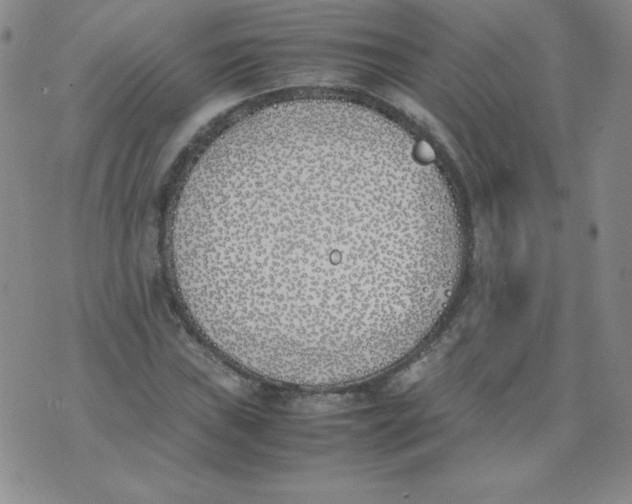 X0000074311019200609152001