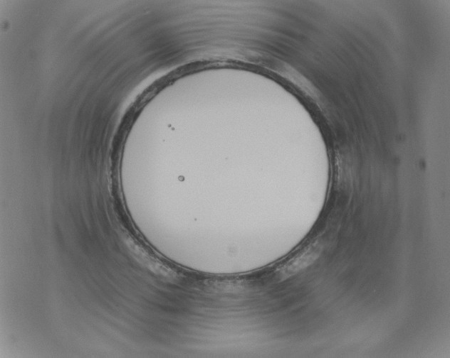 X0000074311020200609152001