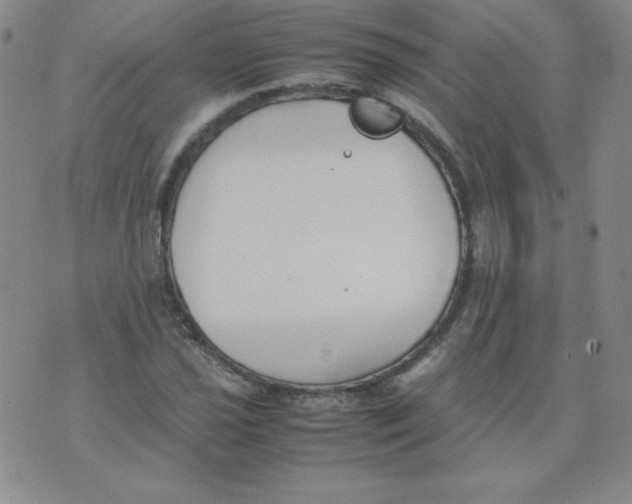 X0000074311021200609152001