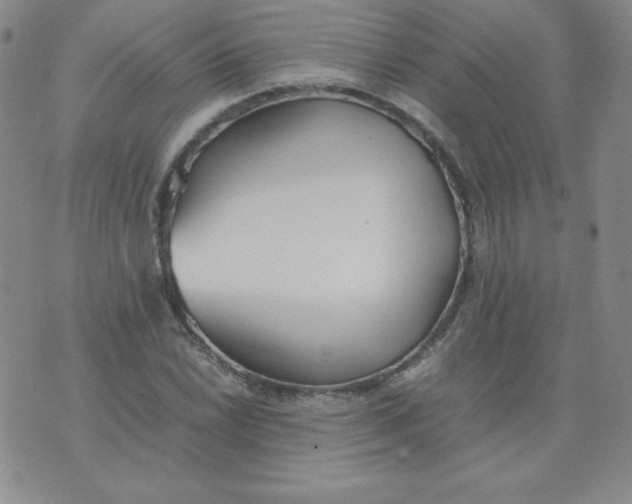 X0000074311022200609152001