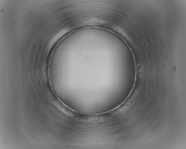 X0000074311026200609152001