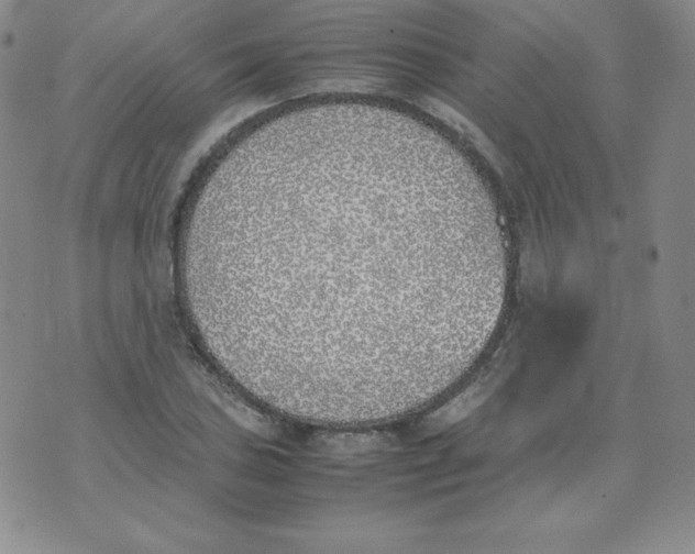 X0000074311027200609152001