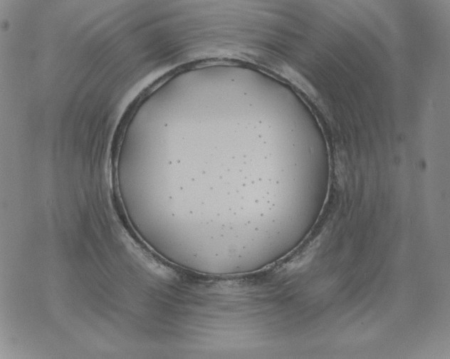 X0000074311028200609152001