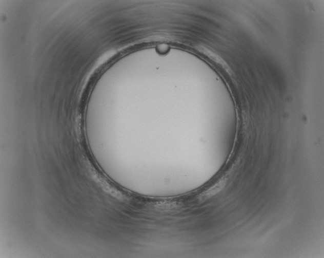 X0000074311029200609152001