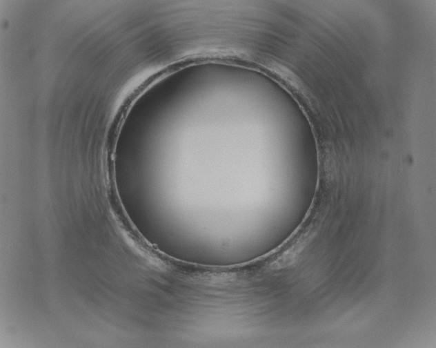 X0000074311030200609152001