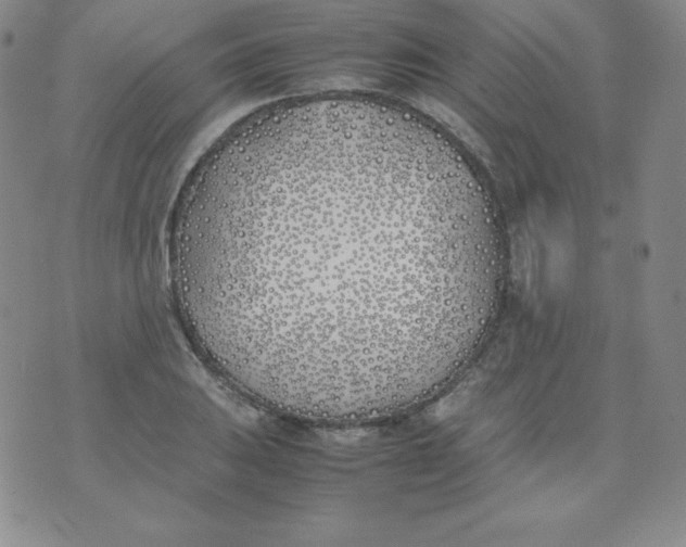 X0000074311031200609152001