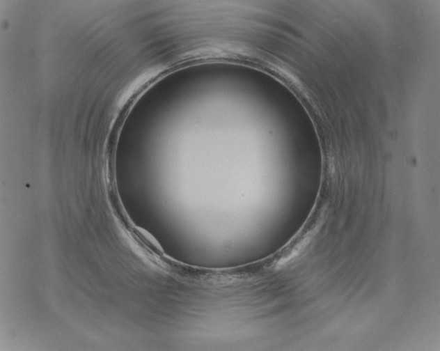 X0000074311034200609152001