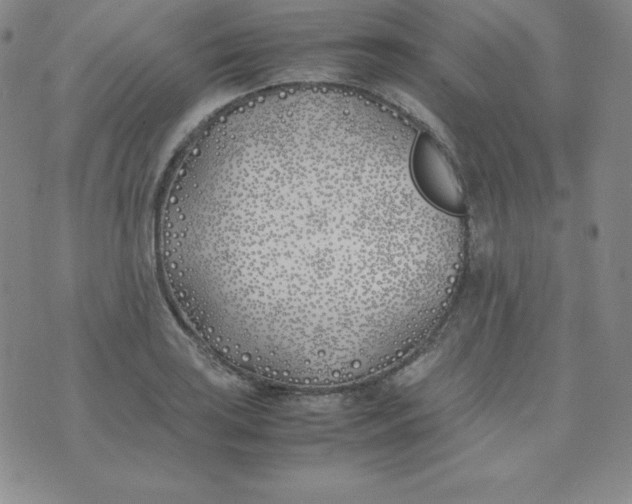 X0000074311035200609152001