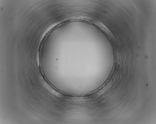 X0000074311036200609152002