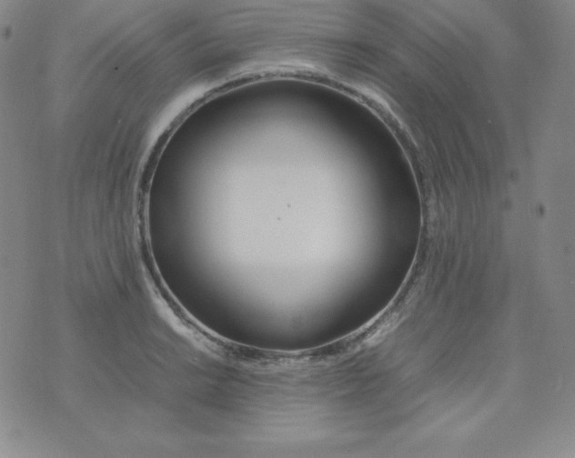 X0000074311038200609152002