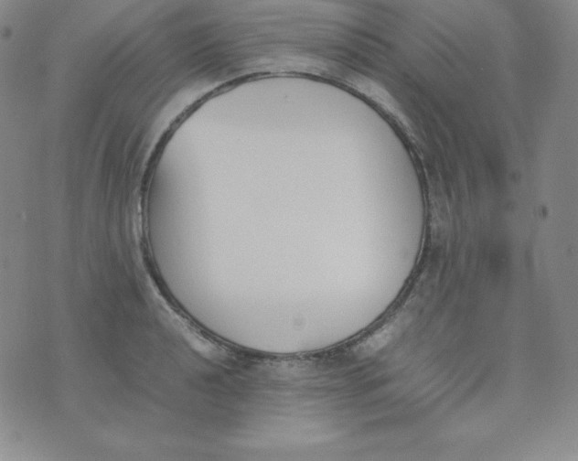 X0000074311040200609152002