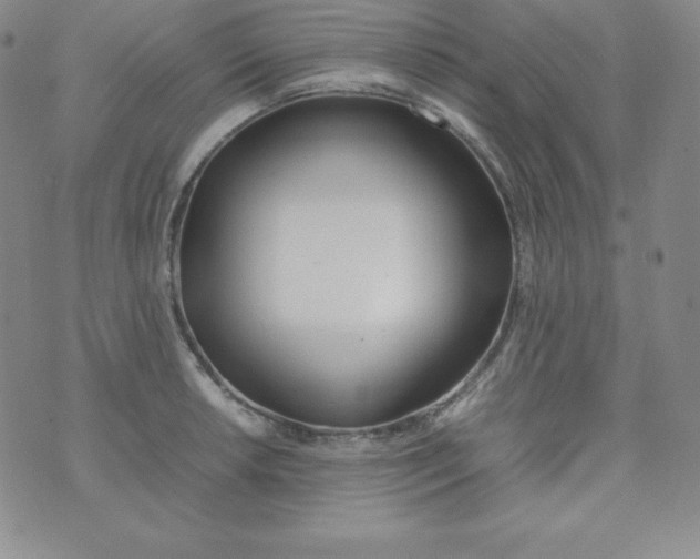 X0000074311042200609152002