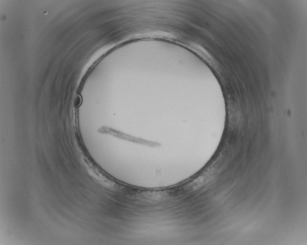 X0000074311044200609152002