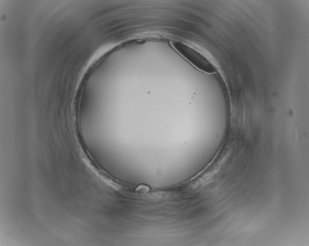 X0000074311045200609152002