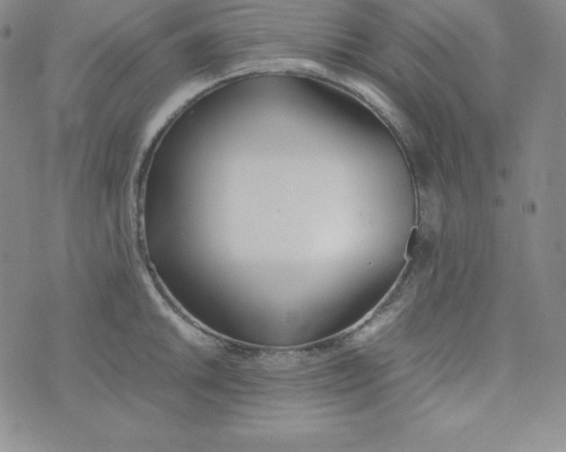 X0000074311046200609152002