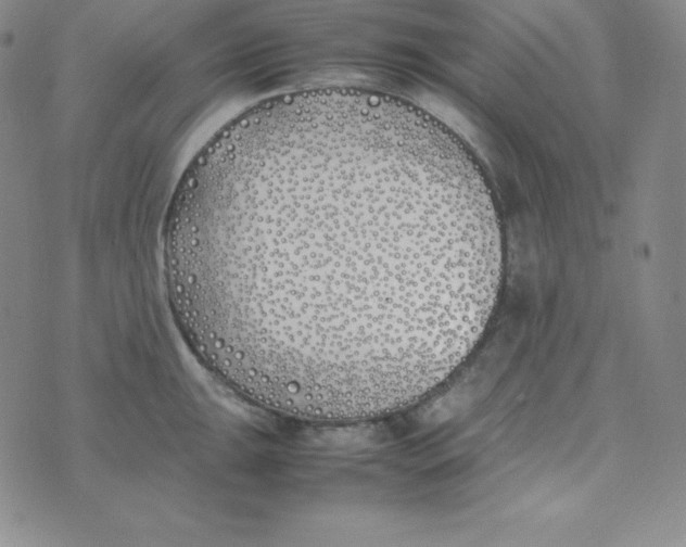 X0000074311047200609152002