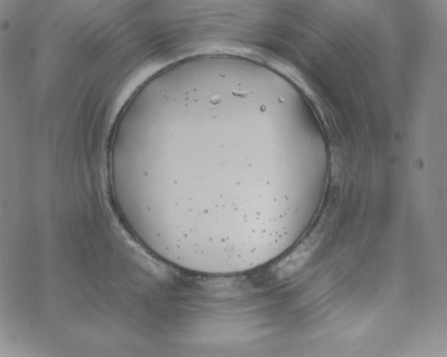 X0000074311048200609152002